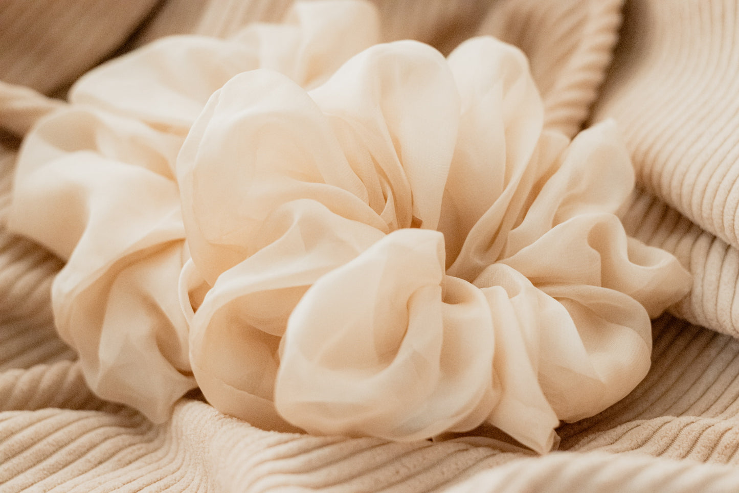 Jumbo Chiffon Scrunchie